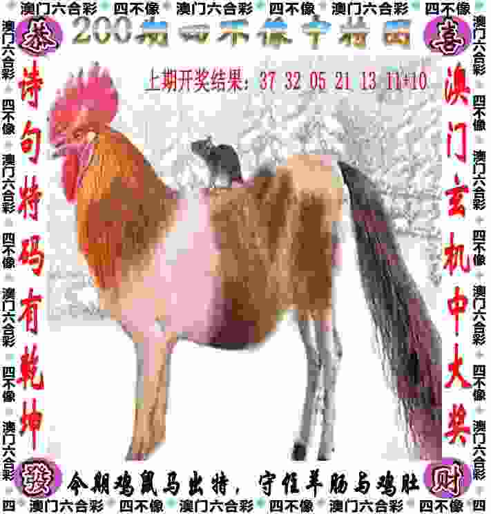 >新门内部资料免费公开